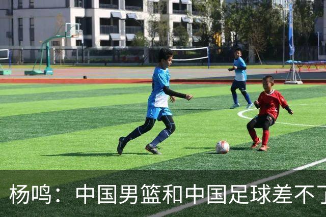 杨鸣：中国男篮和中国足球差不了太多，没有气场，失去了绝对优势