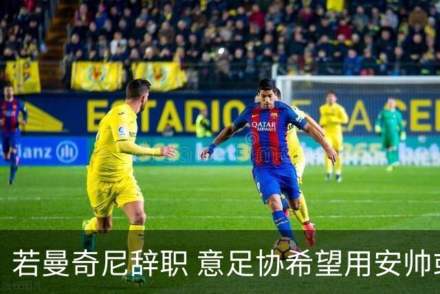 若曼奇尼辞职 意足协希望用安帅或卡纳瓦罗替代