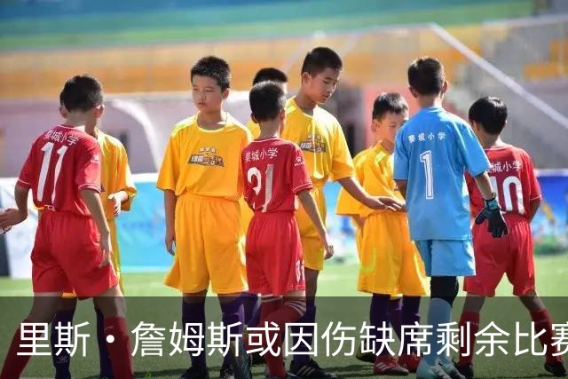 里斯·詹姆斯或因伤缺席剩余比赛 宽萨成英格兰右后卫首选